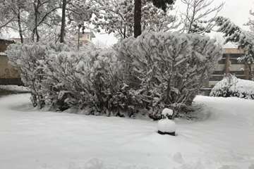 زمستان در دانشگاه